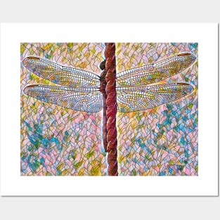 Dragonfly with outstretched Wings Posters and Art